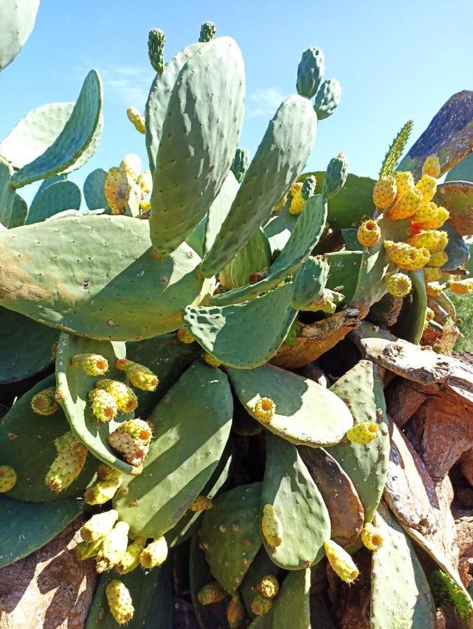 Nido Sul Mare Villa Pantelleria Eksteriør billede